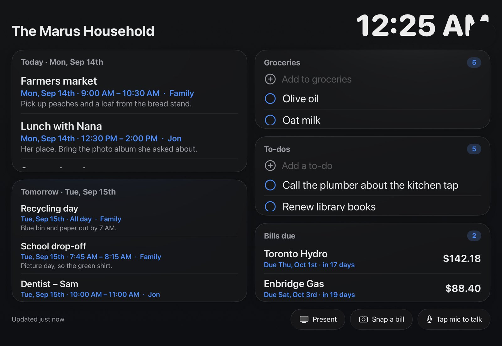 Control on the iPad: today's and tomorrow's events, groceries and to-dos with checkboxes and add fields, bills due, and buttons for Present, Snap a bill and the mic.